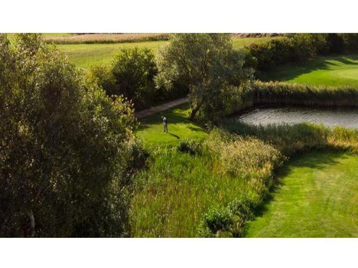 4 x Greenfee til REE Golf