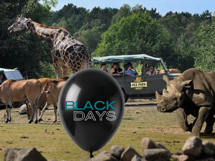 Anmelderost Camel Camp ophold i Ree Park - Oplev parken efter lukketid (4 personer)