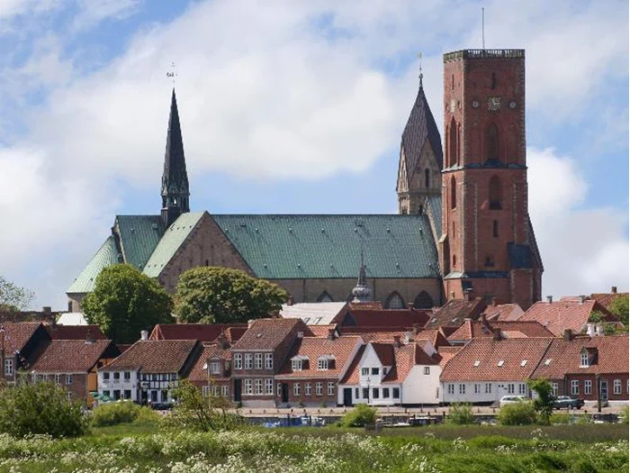 Miniferie for op til 7 personer til Ribe Byferie