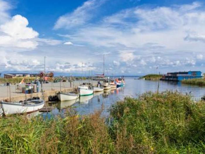 Flere små både ligger i en rolig marina omgivet af grønne områder, med blå himmel og skyer over sig og bygninger i baggrunden.