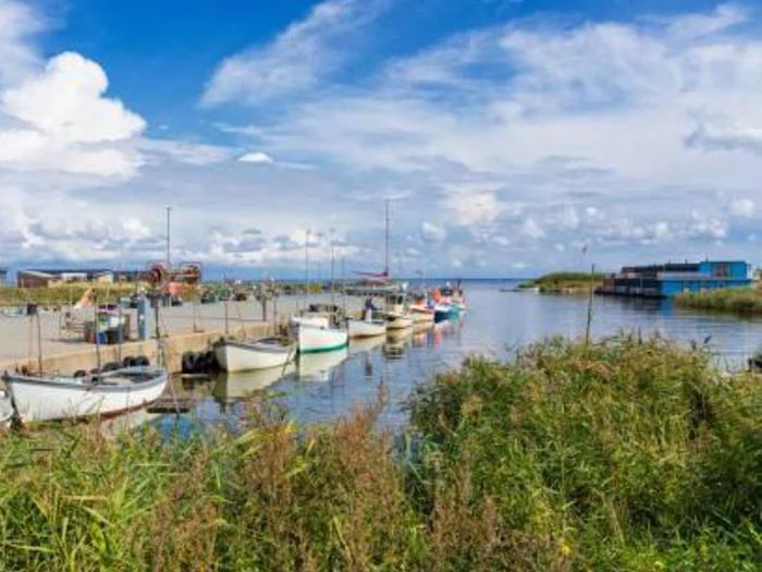 Små fiskerbåde ligger til kaj i en rolig havn omgivet af grønt græs under en delvis overskyet blå himmel, og nogle få bygninger er synlige nær vandet.