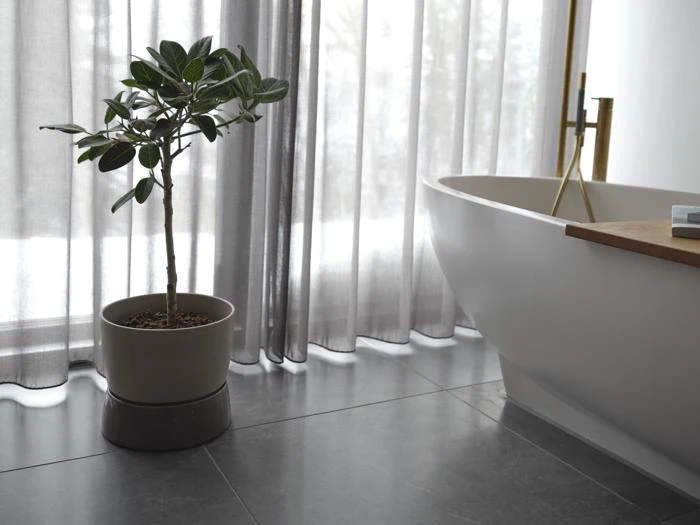 En potteplante står på et flisegulv ved siden af et moderne hvidt badekar med gennemsigtige gardiner i baggrunden.