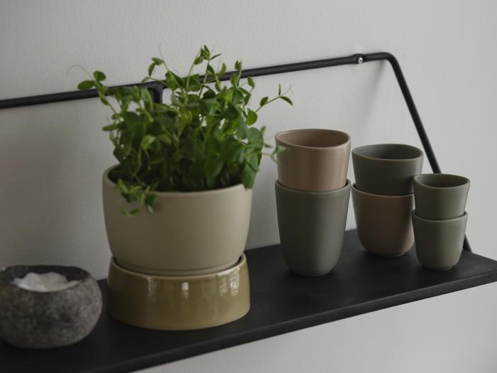 En hylde med en grøn potteplante, en lille stenskål med salt og flere stablede keramikkopper i neutrale toner mod en lysegrå væg.