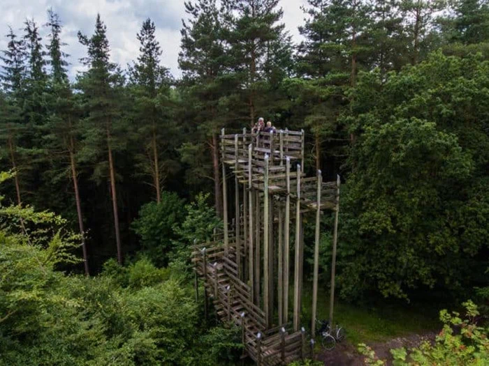 Et højt udsigtstårn af træ står mellem tætte, grønne træer, og folk på toppen nyder udsigten over skoven.