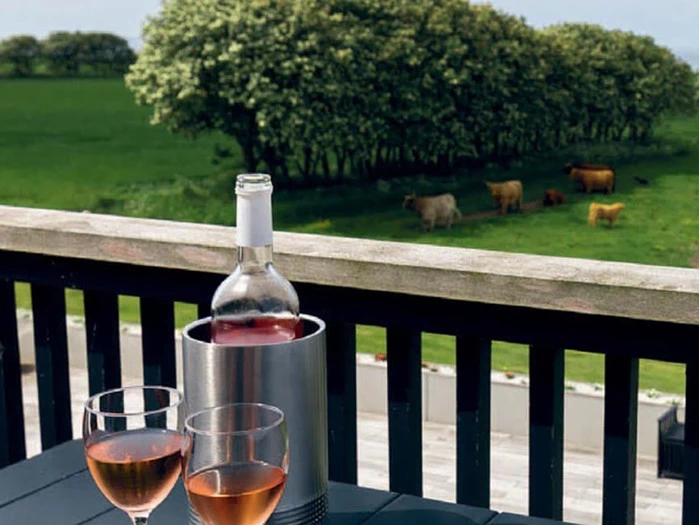 En flaske rosévin og to fyldte glas står på et bord udenfor med udsigt til en grøn mark med køer og træer i baggrunden.