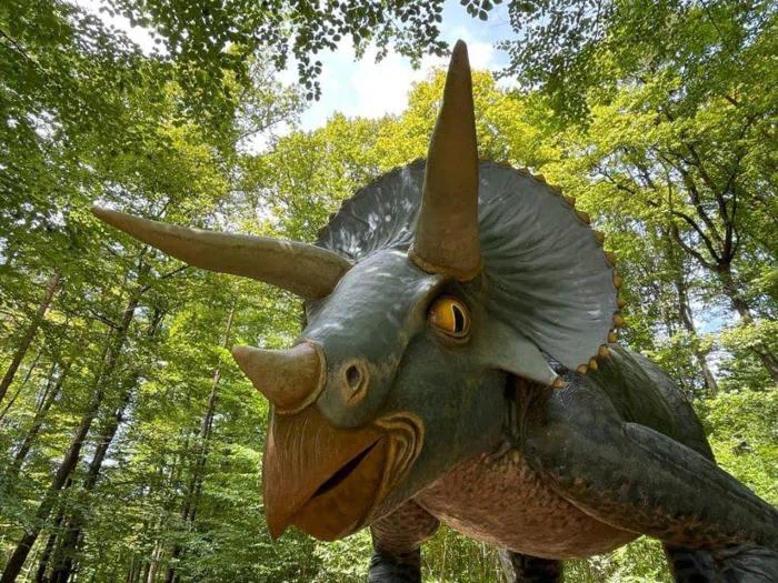 En stor, realistisk triceratops-dinosaurstatue står i en frodig, grøn skov under en lys, delvis overskyet himmel.