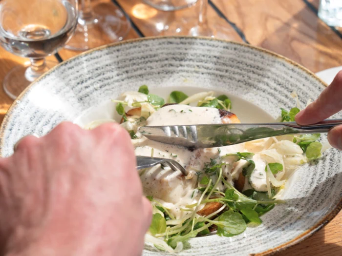 Nærbillede af hænder, der bruger kniv og gaffel til at skære i en ret med cremet hvid sauce, grønt og serveret på en mønstret tallerken på et træbord.