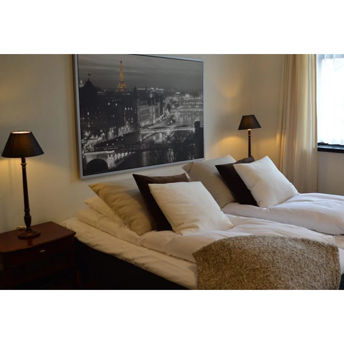 Overnatning, inkl. morgenbuffet for 2 personer hos Park Hotel Frederikshavn