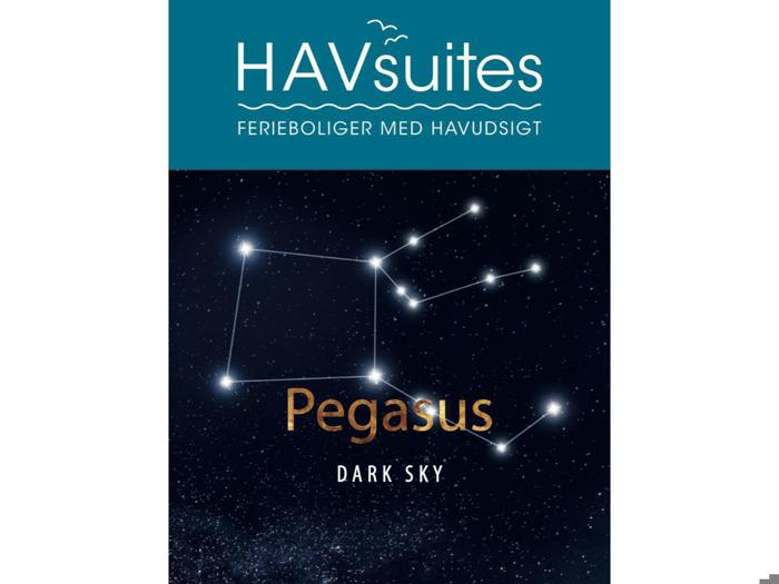 Plakat med teksten HAVsuites FERIEBOLIGER MED HAVUDSIGT over en illustration af Pegasus-stjernebilledet og ordene Pegasus DARK SKY på en stjerneklar natlig baggrund.