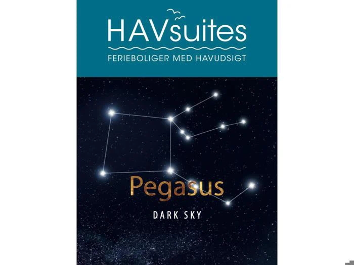 Plakat med teksten HAVsuites FERIEBOLIGER MED HAVUDSIGT over en illustration af Pegasus-stjernebilledet og ordene Pegasus DARK SKY på en stjerneklar natlig baggrund.