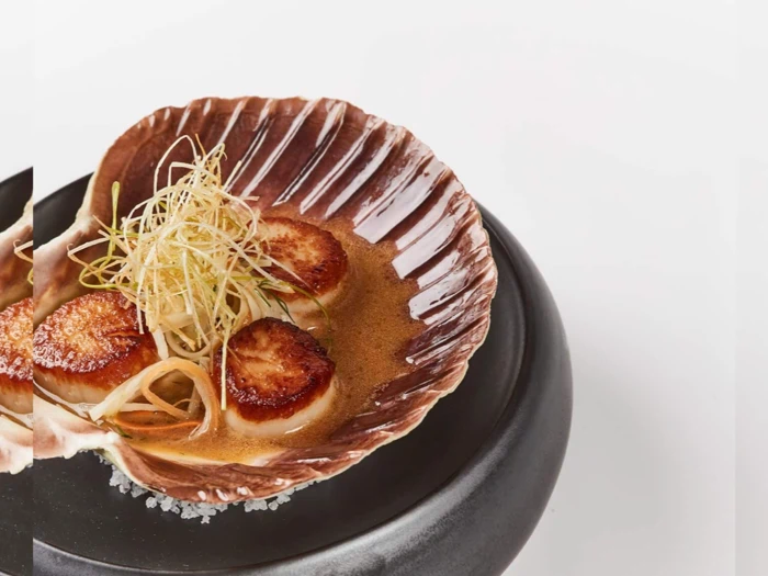 Stegte kammuslinger serveret i en stor muslingeskal, toppet med porrer i tynde skiver og anrettet i en cremet appelsinsauce på et sort fad.