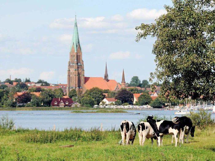 Historisk dagstur til Gottorp Slot og Slesvig Domkirke - Fredag d. 10. oktober