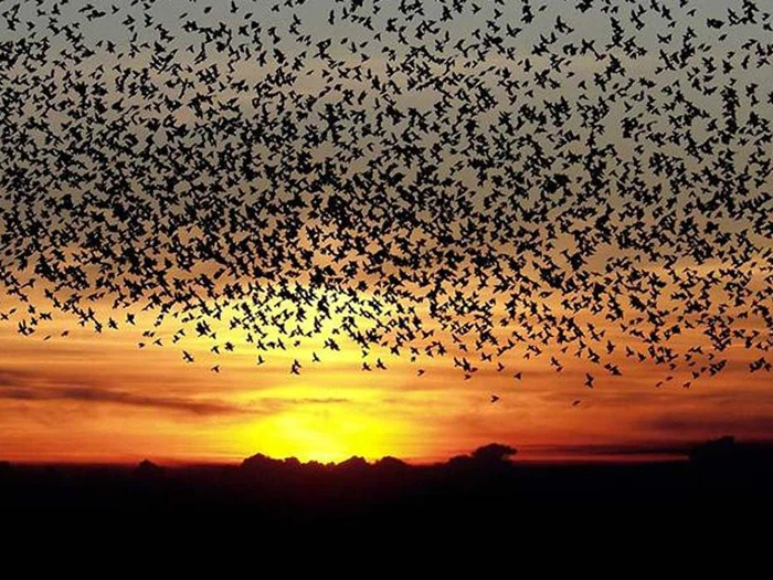 Kroophold 10 km fra grænsen - Abild Kro & Hotel for 2