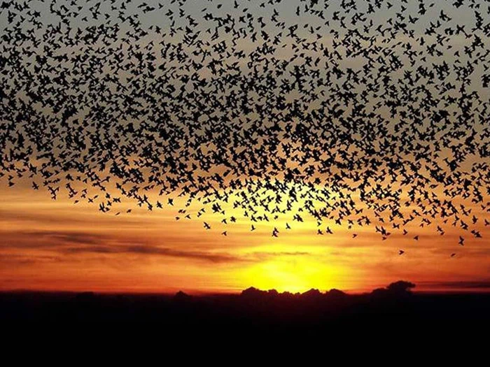 Autentisk sønderjysk kro-miniferie 10 km fra grænsen - Abild Kro & Hotel