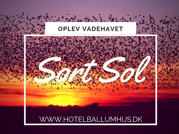 "Oplev Sort Sol" ophold på Hotel Ballumhus nabo til Nationalpark Vadehavet
