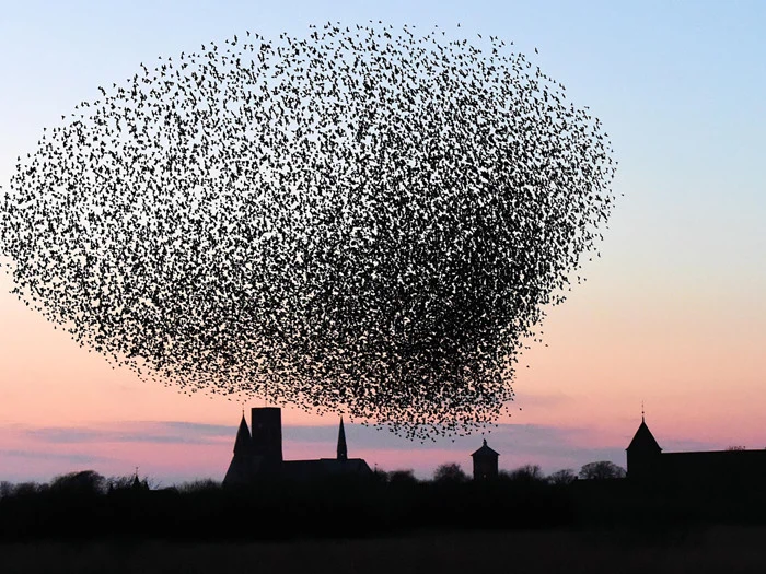 Oktoberferie for hele familien på det prisvindende ferieresort Ribe Byferie
