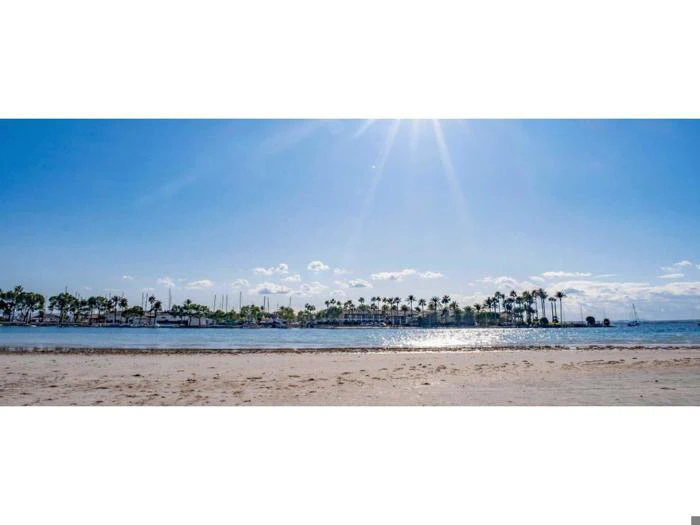 Mallorca: 7 dage på fantastisk voksenhotel – afrejse 2. maj 2026