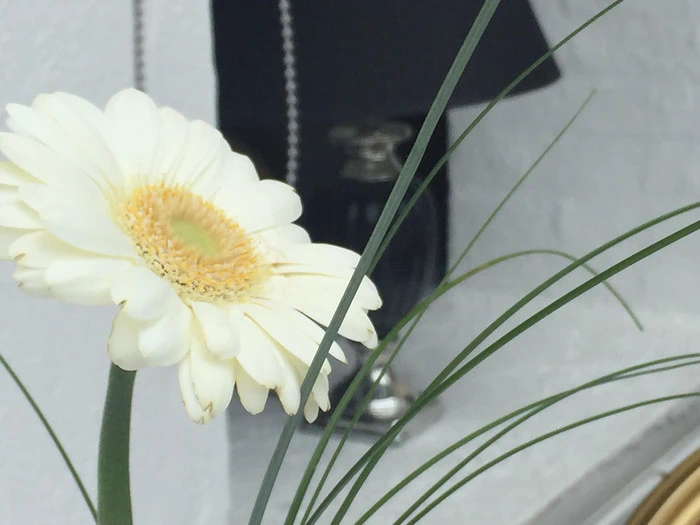 Ophold på Marcussens Hotel i den Idylliske havneby, Assens 