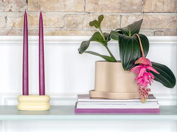 En potteplante med lyserøde blomster står på en stak bøger ved siden af to høje lilla stearinlys i en cremefarvet holder på en hvid hylde med en murstensvæg som baggrund.