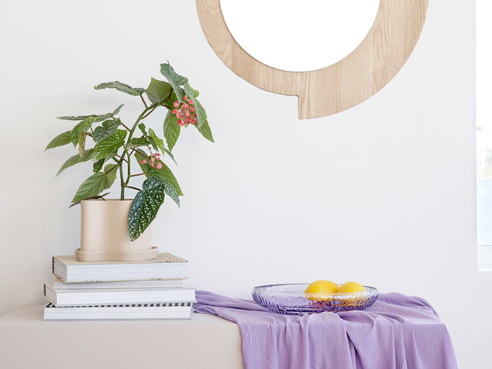 En potteplante på stablede bøger ved siden af en glasskål med citroner, på en overflade draperet med et lavendelfarvet klæde, under et rundt træspejl.