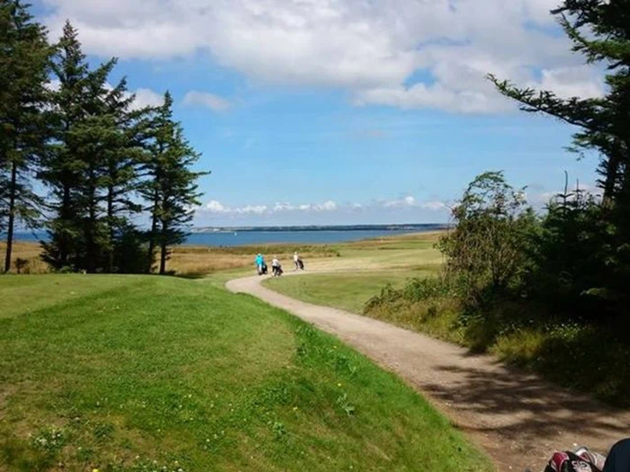 En snoet sti løber gennem en græsmark med nogle få mennesker, der går på den, omgivet af træer og med udsigt over et vandområde under en delvist overskyet himmel.