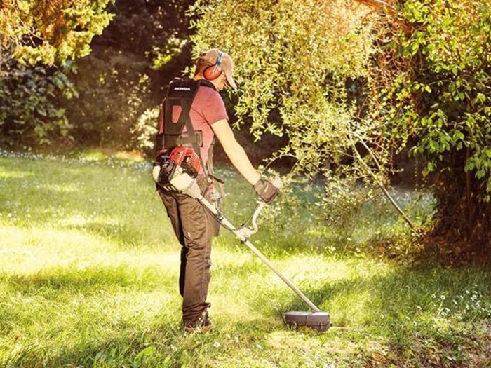 En person iført høreværn og rygsæk betjener en græstrimmer i en solbeskinnet, græsklædt have omgivet af træer og buske.