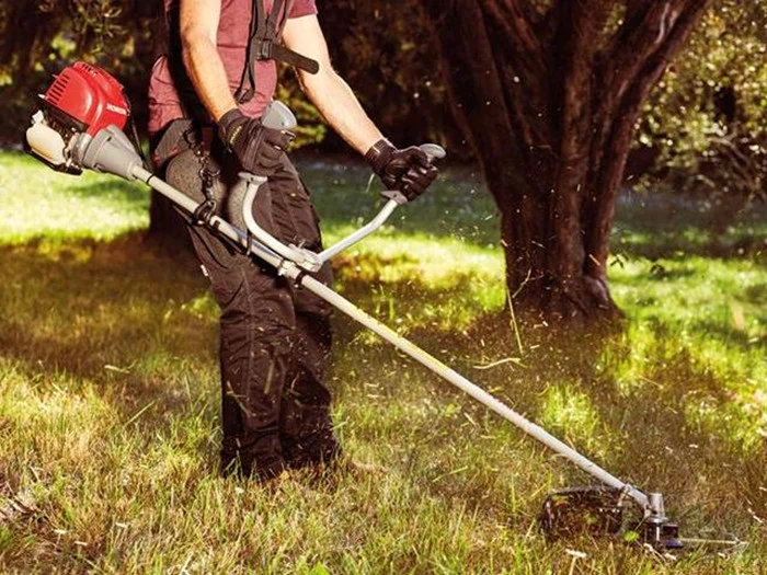 En person iført handsker og sikkerhedsudstyr bruger en gasdrevet buskrydder til at trimme højt græs i et solrigt udendørs område med træer i baggrunden.