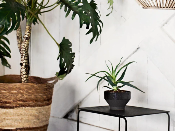 6 stk. Two tone skåle fra Madam Stoltz 