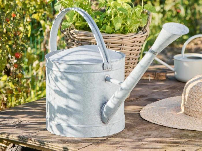 En sølvfarvet metalvandkande står på et træbord udendørs i nærheden af en stråhat og en flettet kurv fyldt med grønne planter.