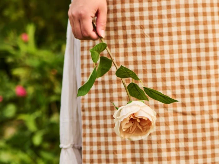 En person i en ternet brun og hvid kjole holder en lys ferskenfarvet rose på hovedet i stilken med grønne planter i baggrunden.