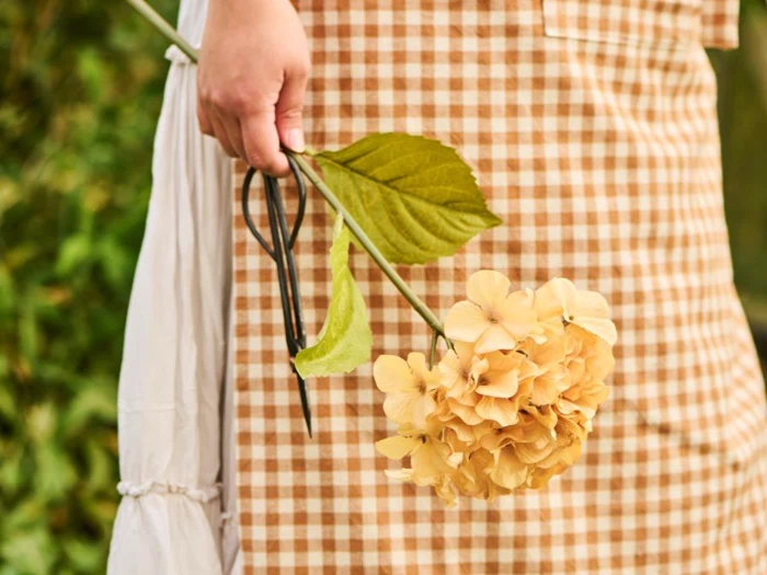En person i brunternet forklæde holder en gul hortensiablomst og et bånd, mens han står udendørs med grønne planter i baggrunden.