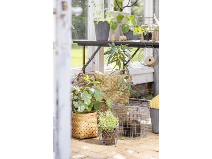 Forskellige potteplanter og flettede kurve placeret på et murstensgulv ved siden af et sort metalbord i en lys indendørs have eller et drivhus.