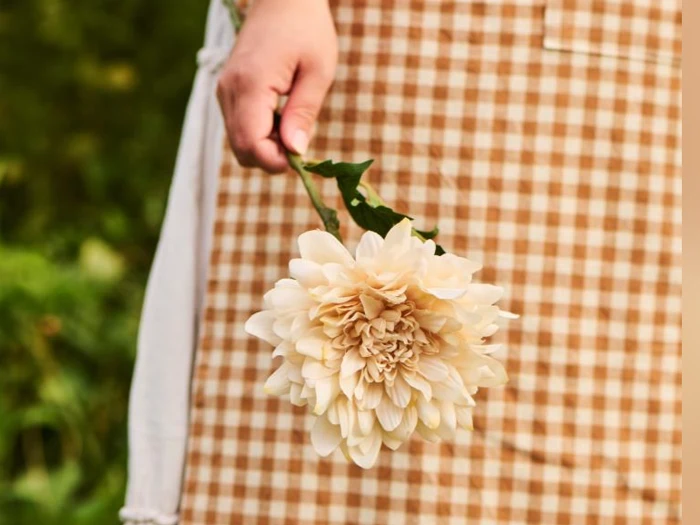 En person i et brunternet forklæde holder en stor, lys blomst ved stilken med grønne planter i den slørede baggrund.