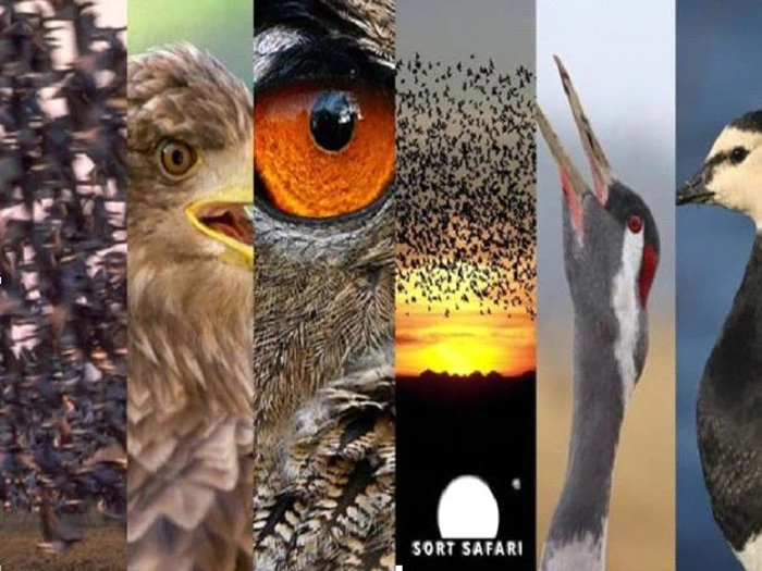 Oktoberferie for hele familien på det prisvindende ferieresort Ribe Byferie