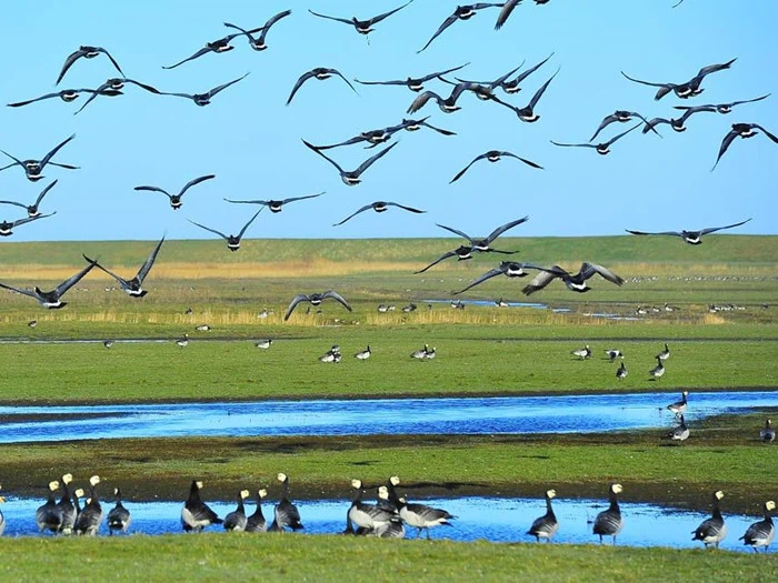 Kroophold 10 km fra grænsen - Abild Kro & Hotel for 2