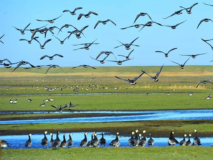 Autentisk sønderjysk kro-miniferie 10 km fra grænsen - Abild Kro & Hotel