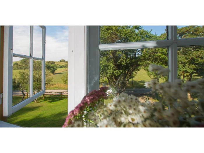 4-dags ferie i Countryhouse: Snehvides Hus - Møns Klint Countryhouses (plads til 6 personer)