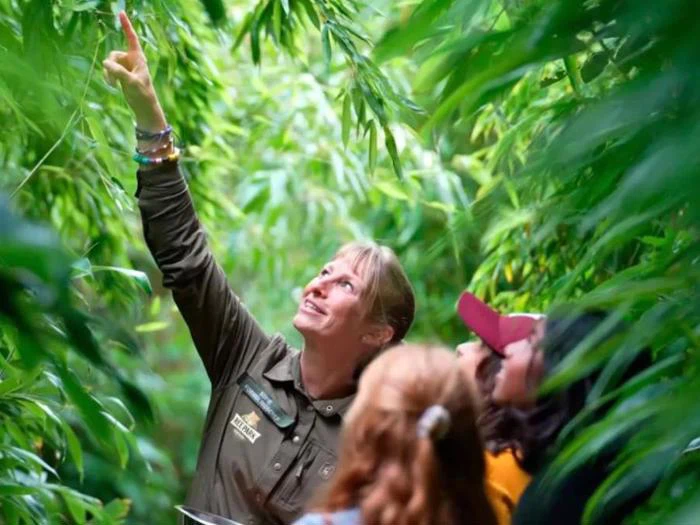 Dyrepasser for en dag ved Ree Park