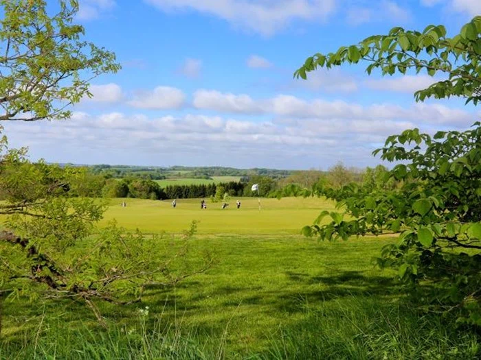 Greenfees for 4 til Birkemose Golf Club i Kolding