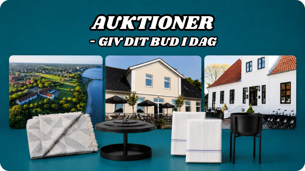 Auktioner
