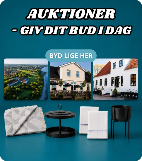 Auktioner