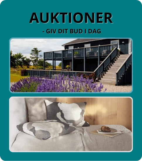 Auktioner